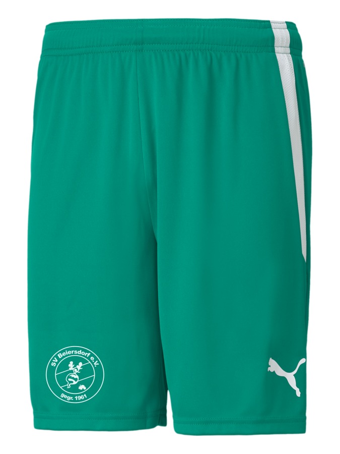 PUMA teamLIGA Shorts