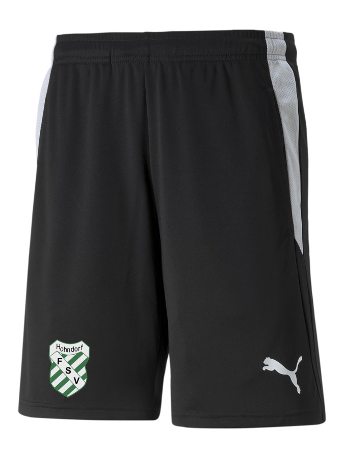 PUMA teamLIGA Referee Shorts