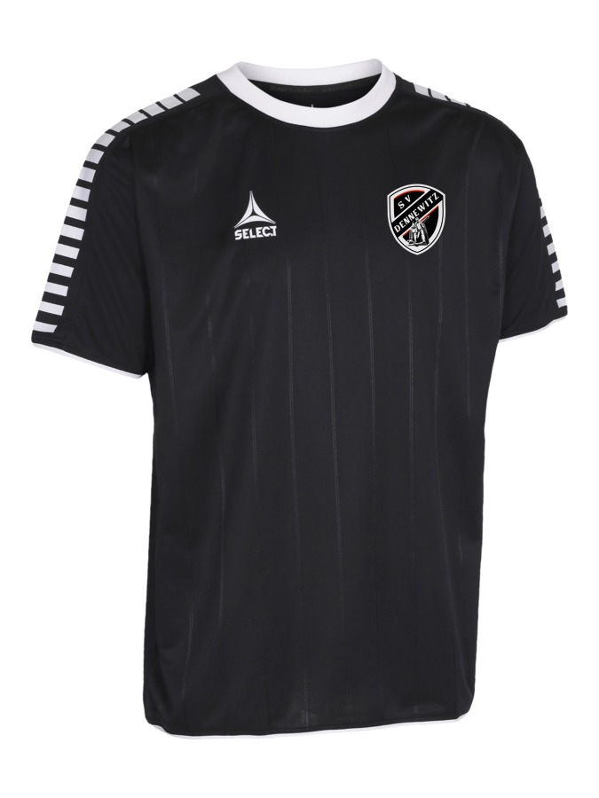 Select Argentina Trikot