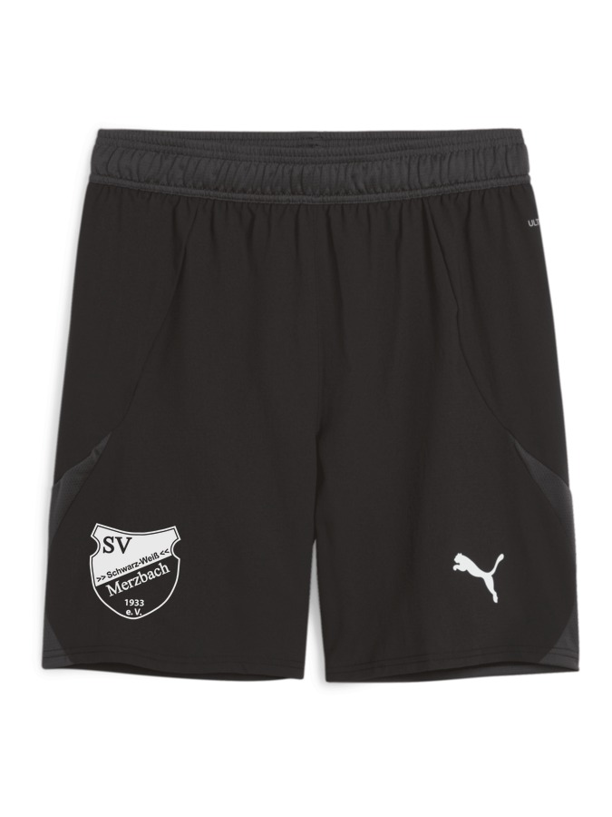 PUMA teamFINAL Shorts