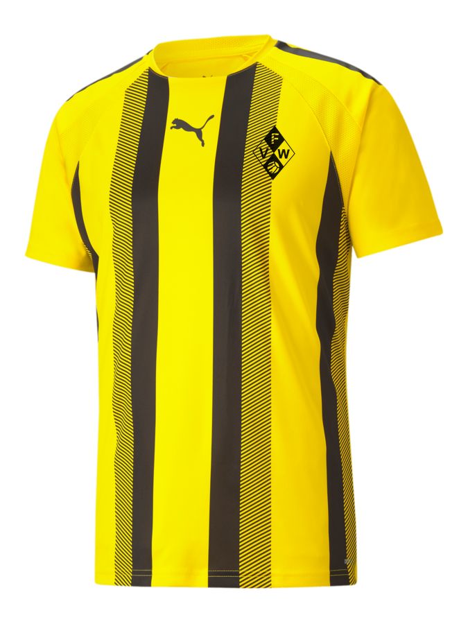 PUMA teamLIGA Striped Trikot