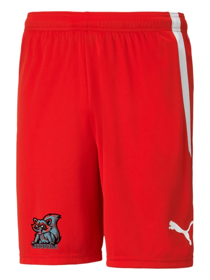 PUMA teamLIGA Shorts