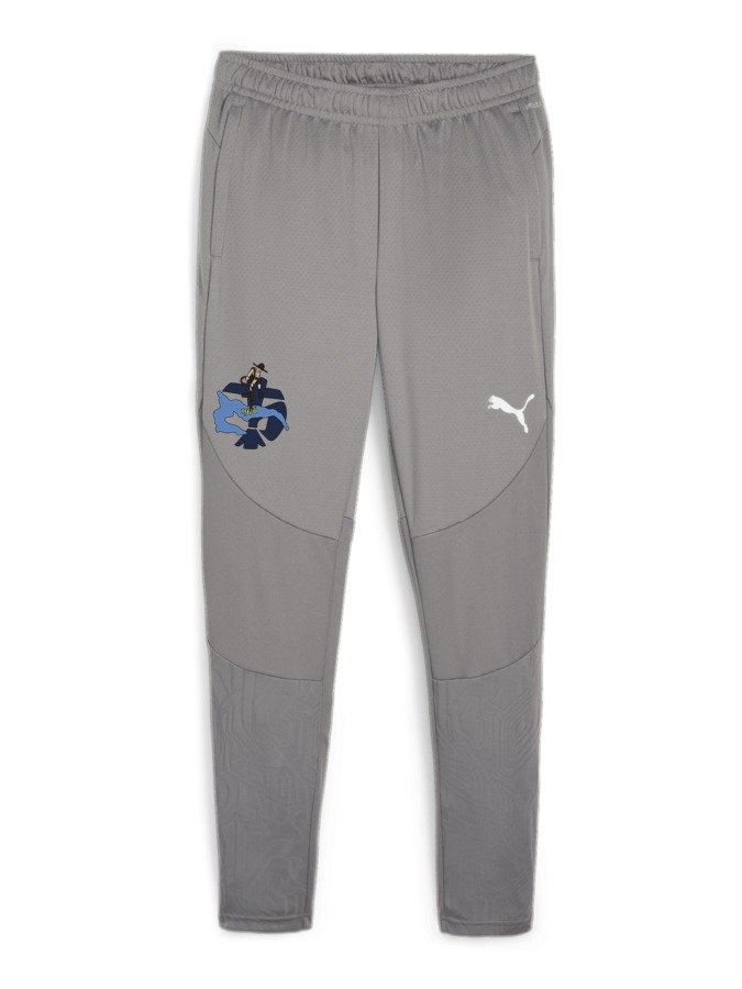 PUMA teamFINAL Trainingshose