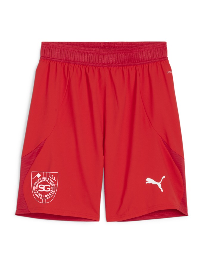 PUMA teamFINAL Shorts