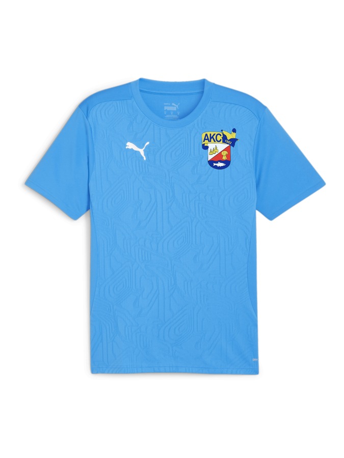 PUMA teamFINAL Trainingsshirt