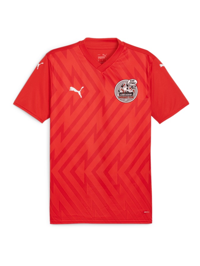 PUMA teamGLORY Trikot