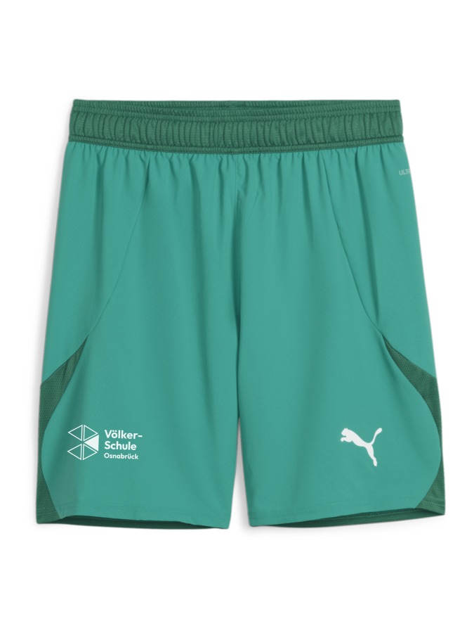 PUMA teamFINAL Shorts