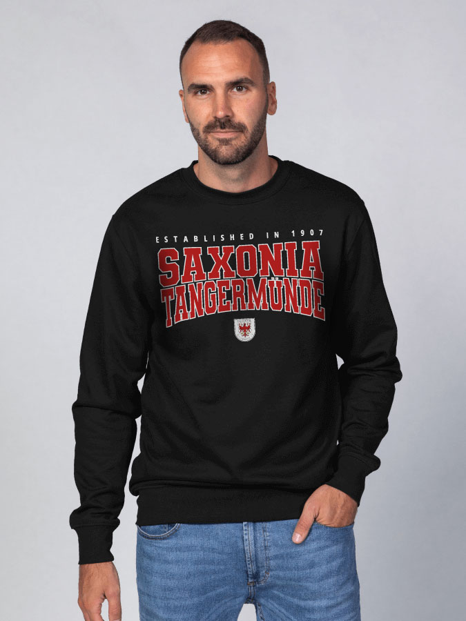Sweater Retro Herren
