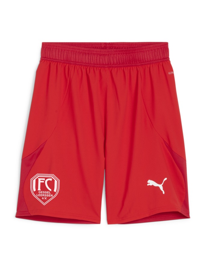 PUMA teamFINAL Shorts