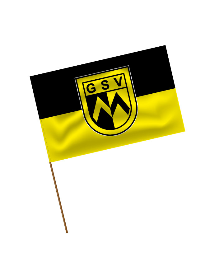 Stadionfahne Logo