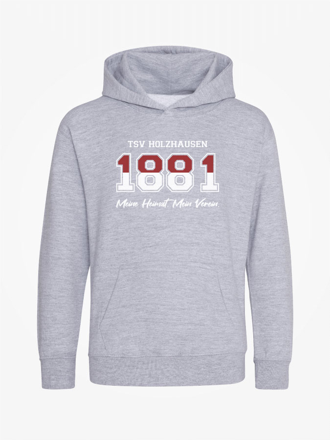 Hoodie Established Kids
