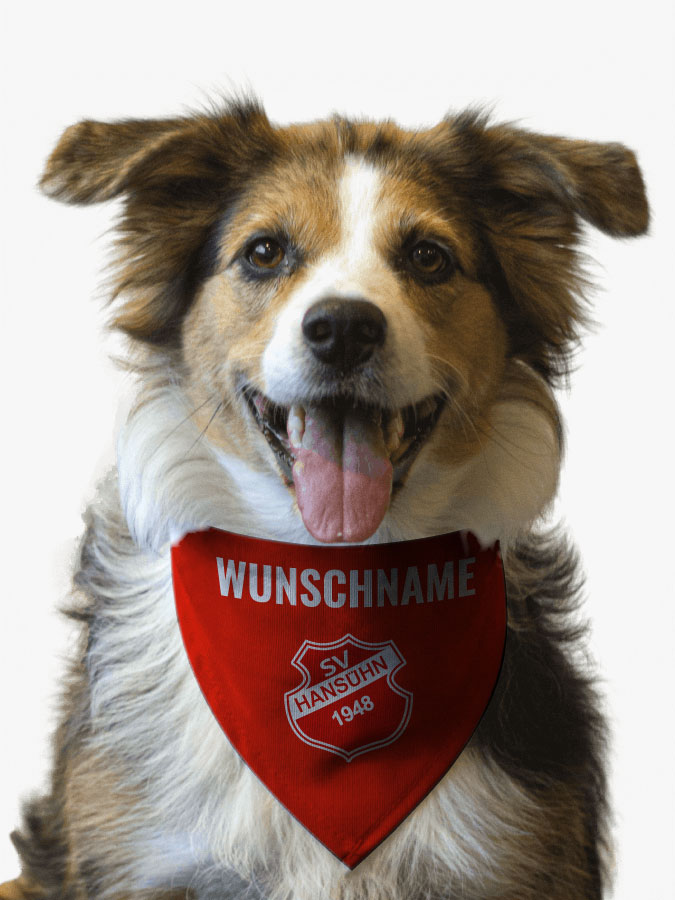 Hundehalstuch