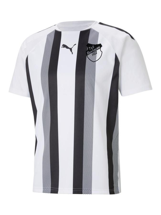 PUMA teamLIGA Striped Trikot