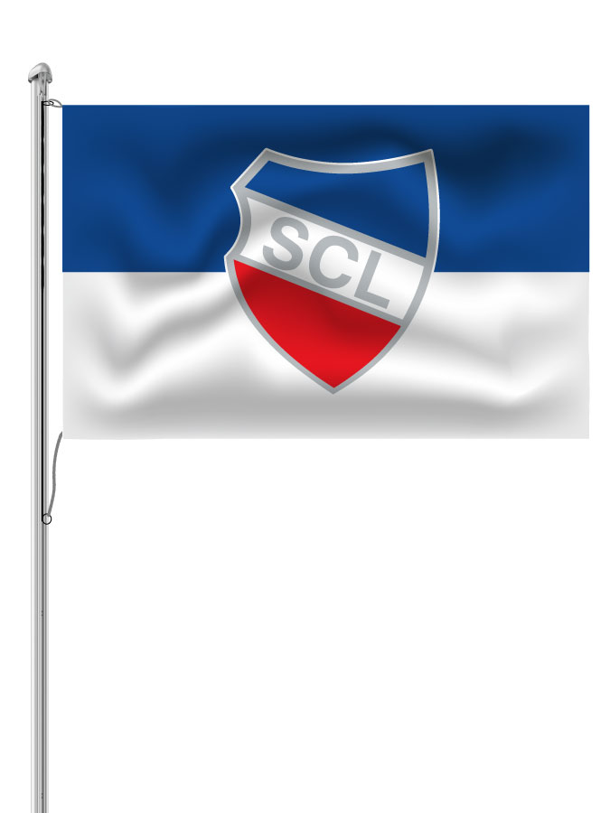 Hissfahne Logo