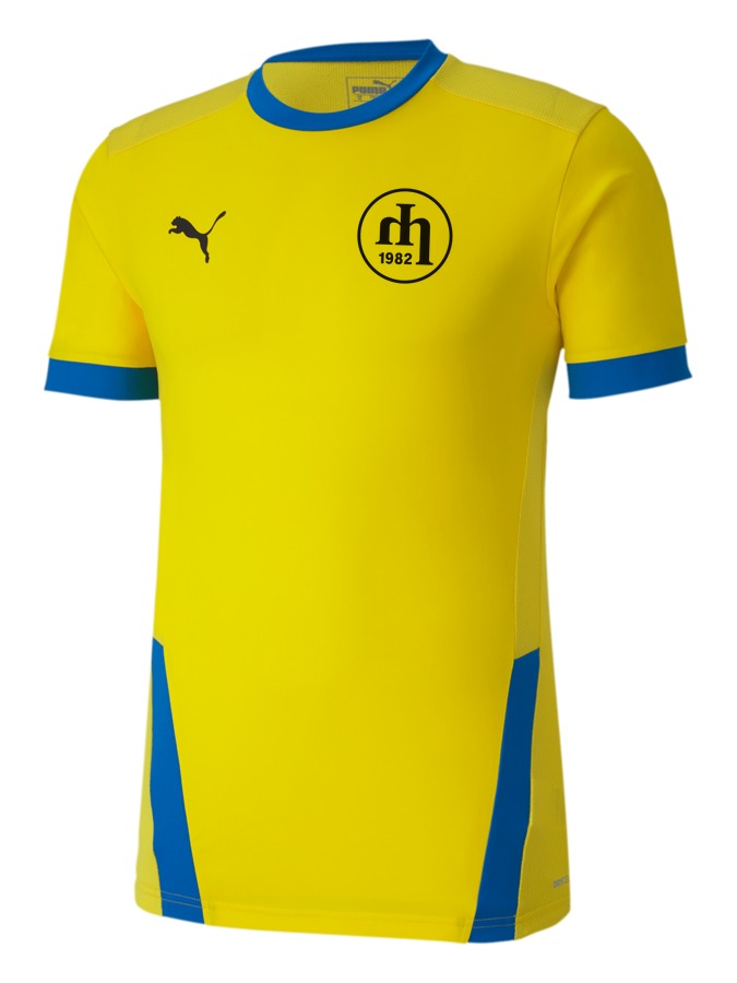 PUMA teamGOAL 23 Trikot