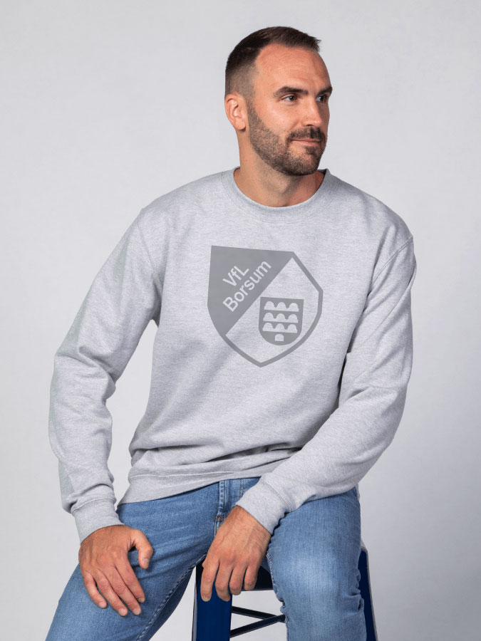 Sweater All Grey Herren