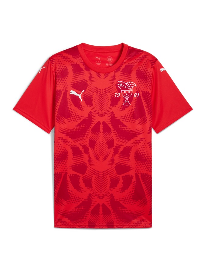 PUMA teamULTIMATE Trikot