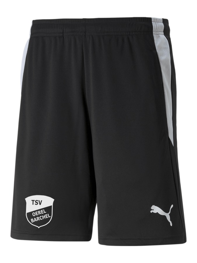 PUMA teamLIGA Referee Shorts