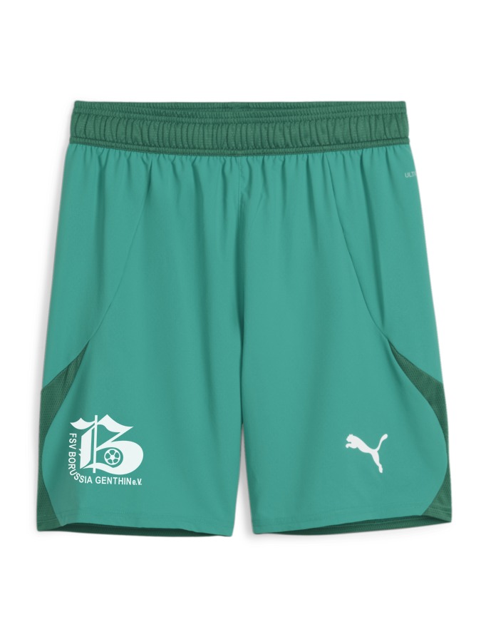 PUMA teamFINAL Shorts