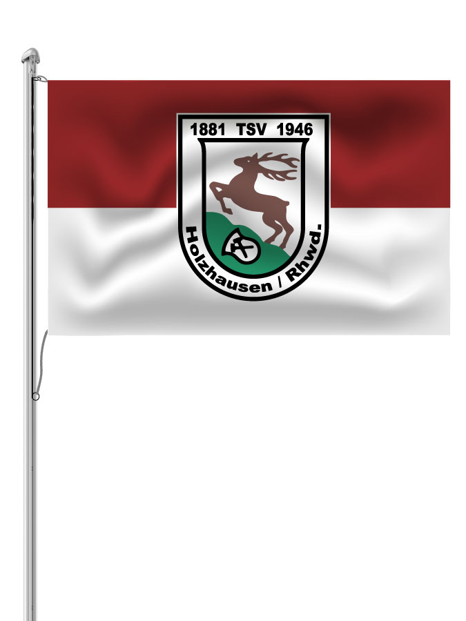 Hissfahne Logo