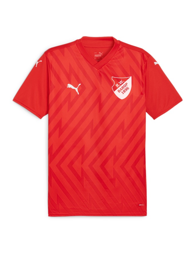 PUMA teamGLORY Trikot
