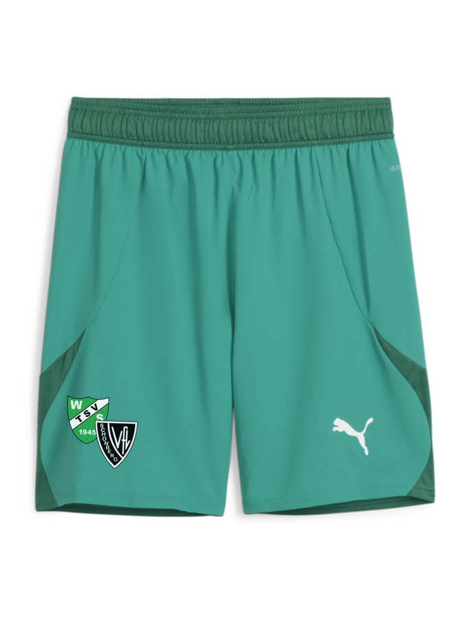 PUMA teamFINAL Shorts