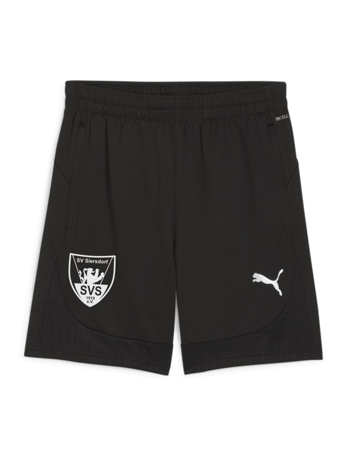 PUMA teamFINAL Training Shorts