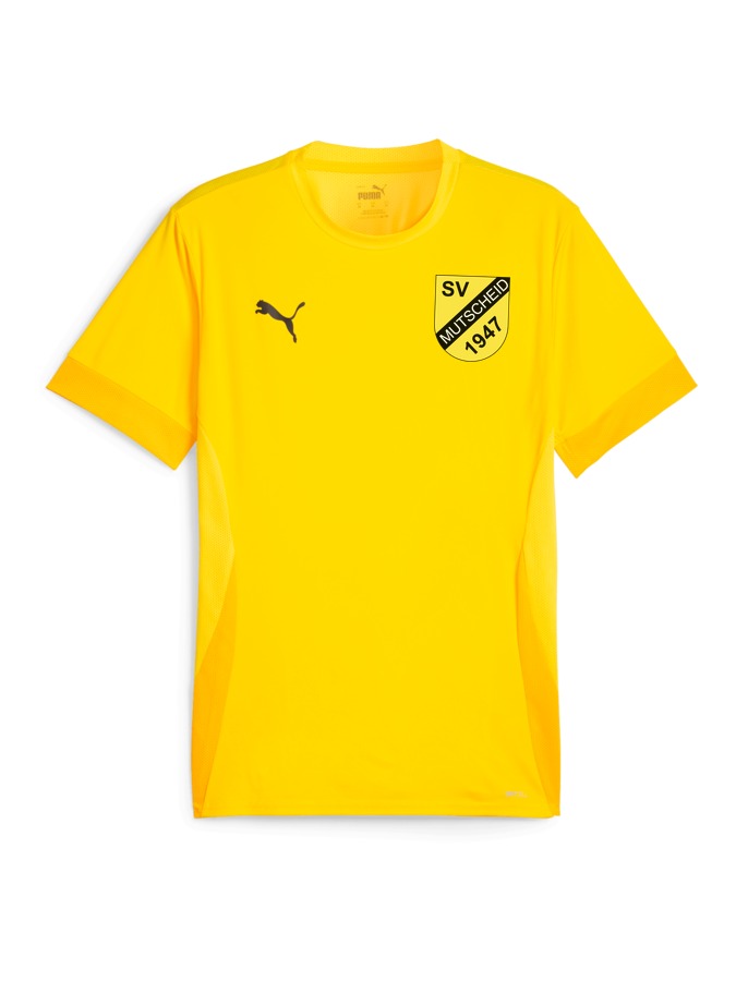 PUMA teamGOAL Matchday Trikot