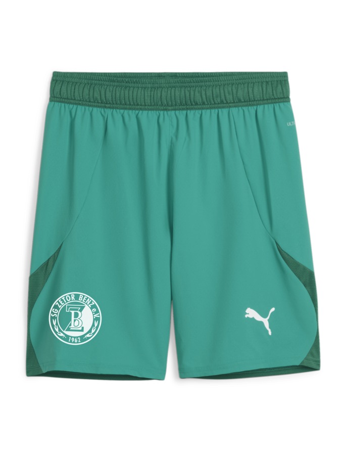 PUMA teamFINAL Shorts