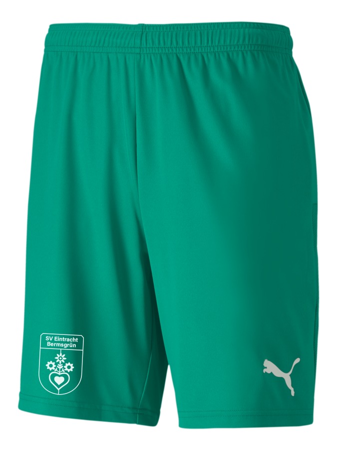 PUMA teamGOAL 23 Knit Shorts