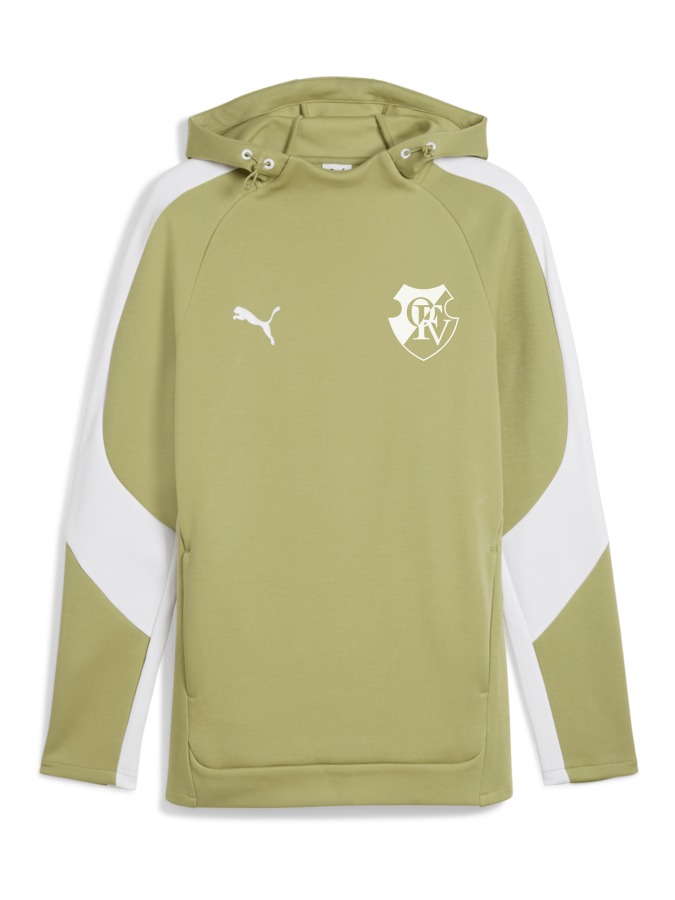 PUMA teamEVOSTRIPE Hoody