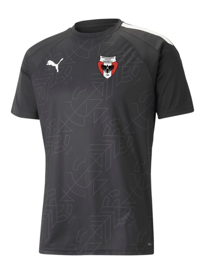 PUMA teamLIGA Graphic Trikot
