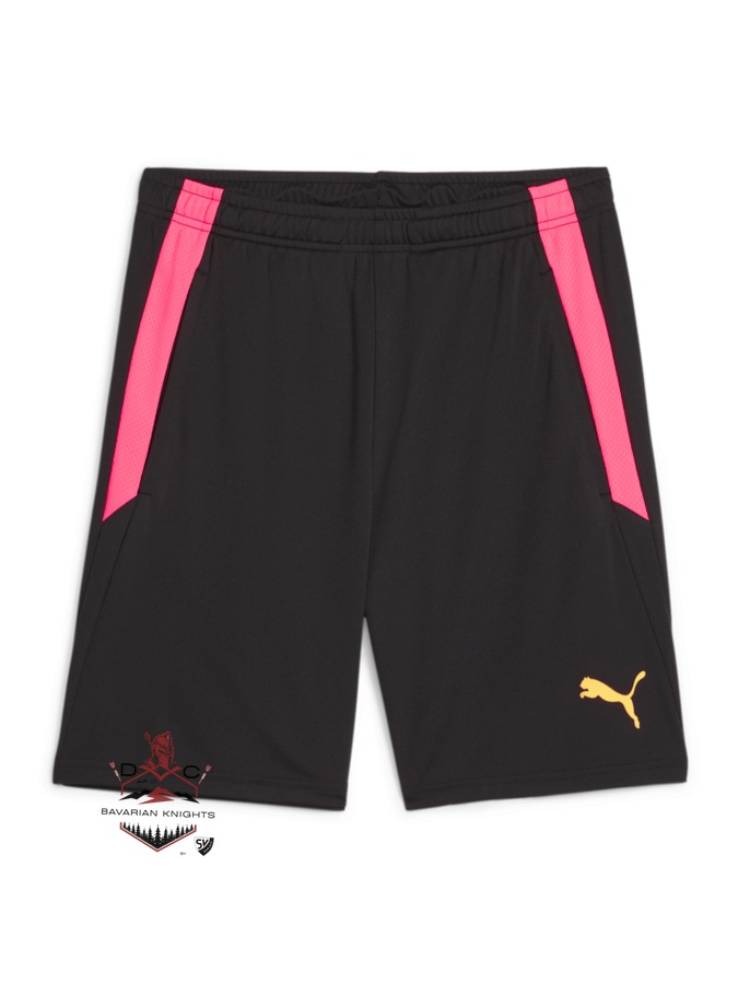 PUMA teamLIGA Training Shorts 2 (Offene Taschen)