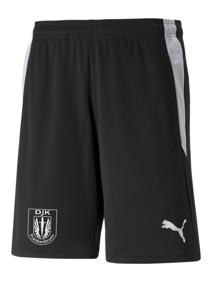 PUMA teamLIGA Referee Shorts