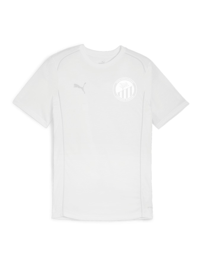 PUMA teamFINAL Casuals T-Shirt