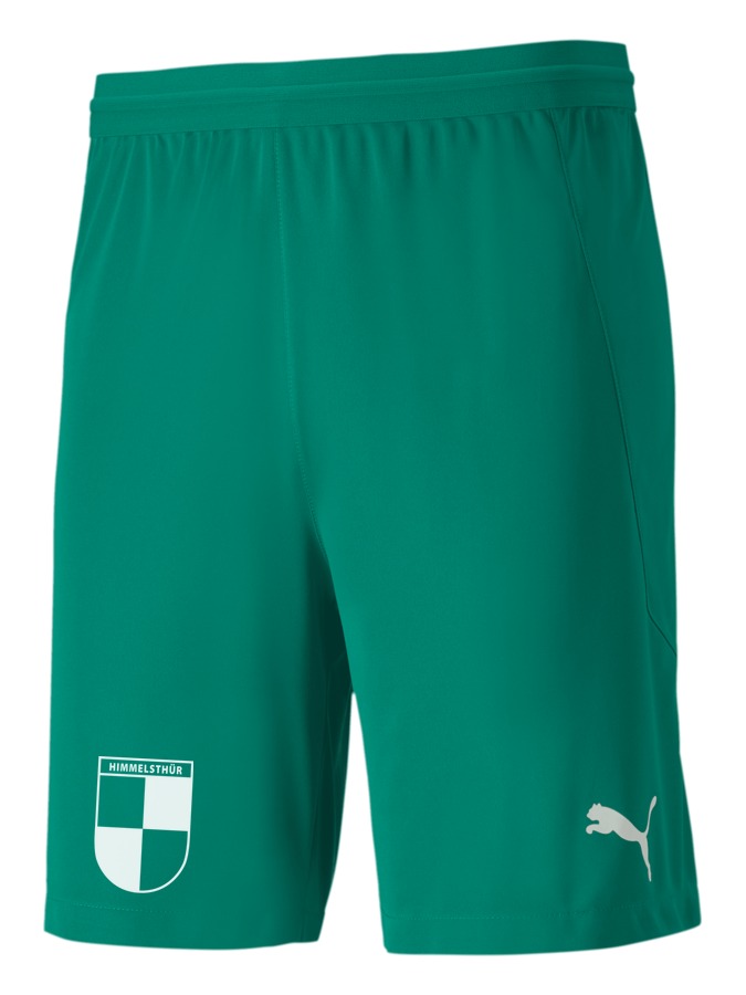 PUMA teamFINAL 21 Knit Shorts