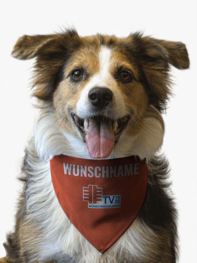 Hundehalstuch
