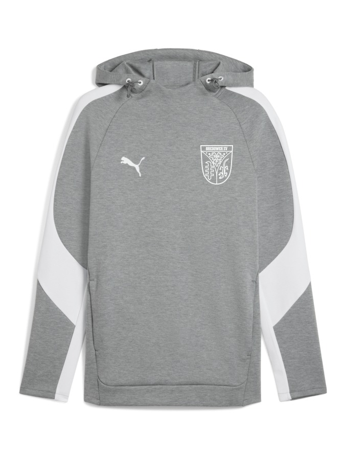 PUMA teamEVOSTRIPE Hoody