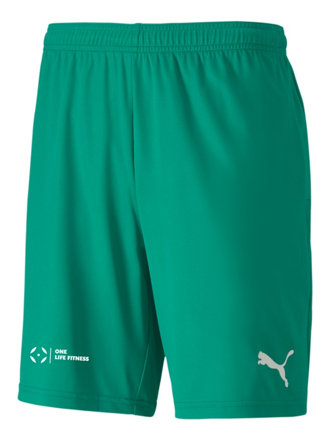 PUMA teamGOAL 23 Knit Shorts