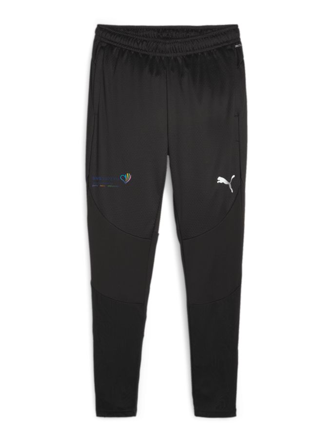 PUMA teamFINAL Trainingshose