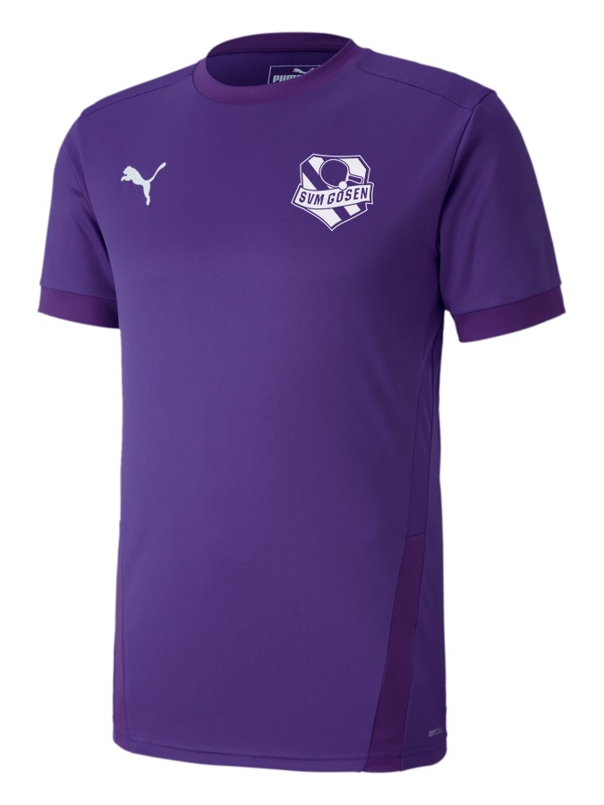 PUMA teamGOAL 23 Trikot