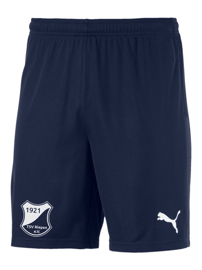 PUMA teamGOAL 23 Knit Shorts