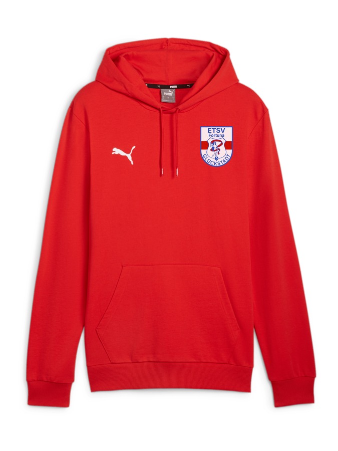 PUMA teamGOAL Casuals Hoody