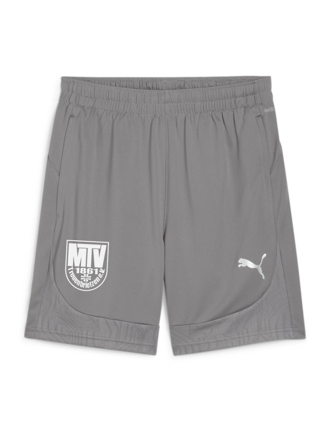 PUMA teamFINAL Training Shorts