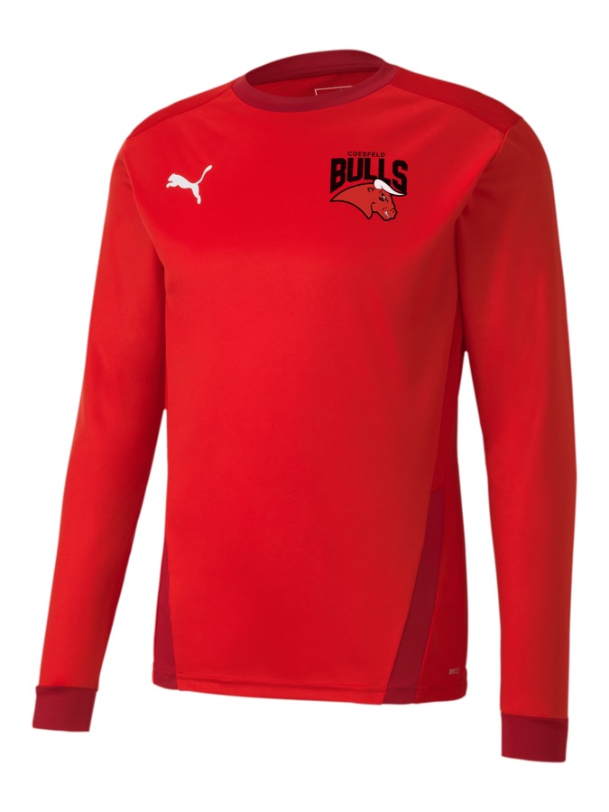PUMA teamGOAL 23 Longsleeve