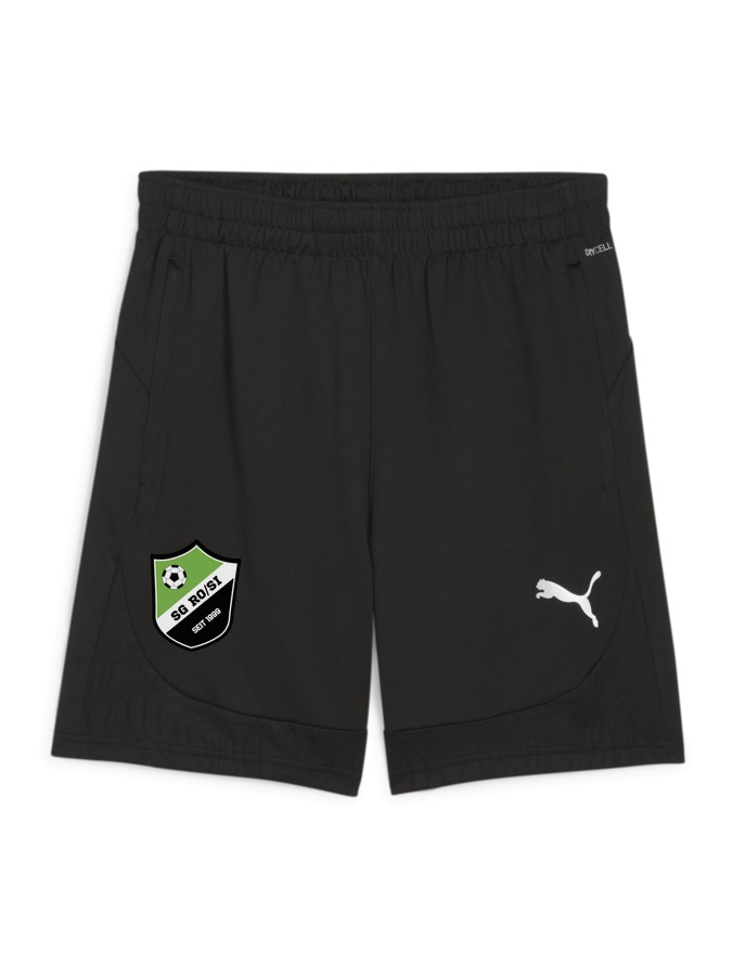 PUMA teamFINAL Training Shorts