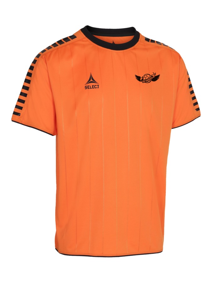 Select Argentina Trikot