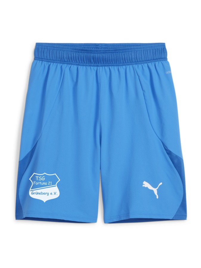 PUMA teamFINAL Shorts
