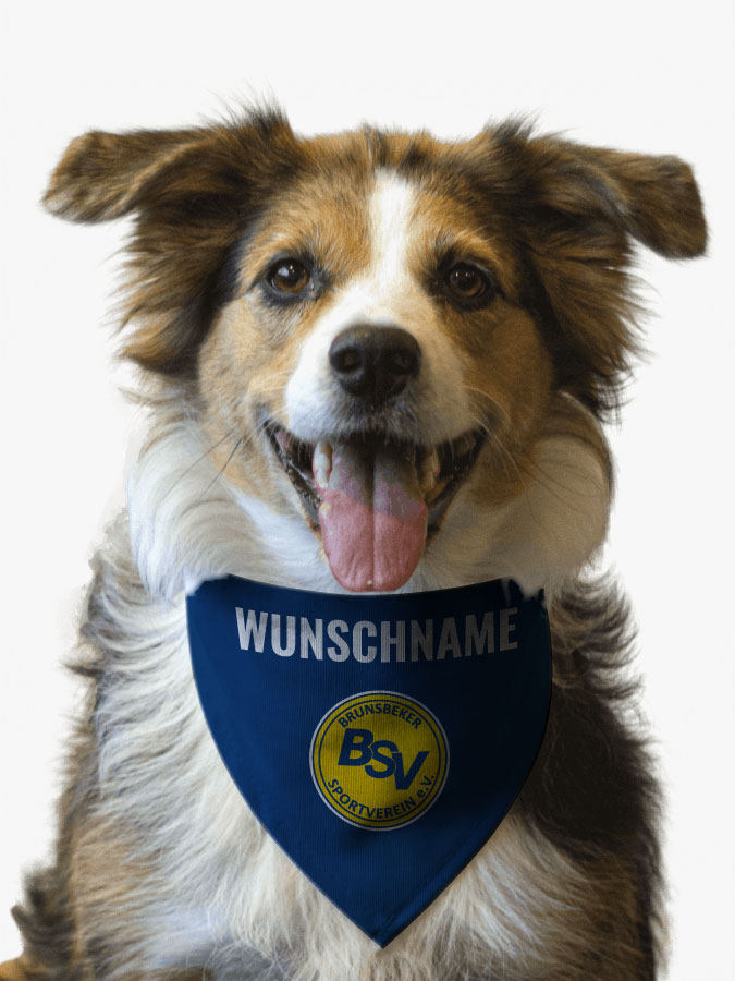 Hundehalstuch