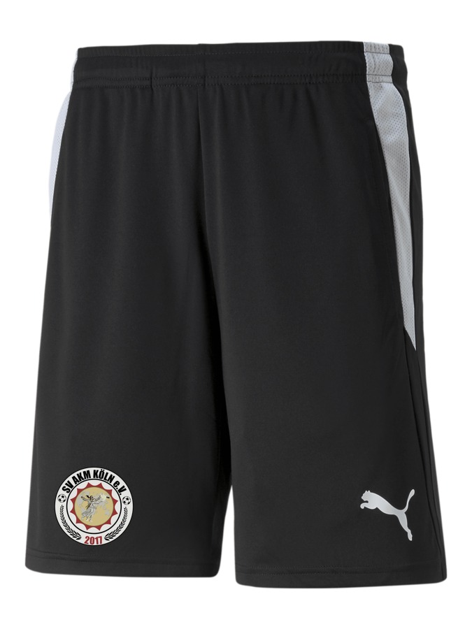 PUMA teamLIGA Referee Shorts
